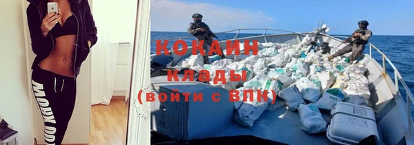 spice Алзамай