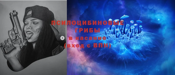 spice Алзамай