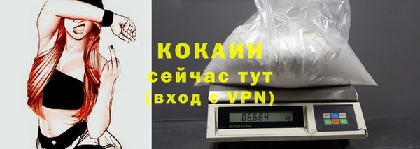 spice Алзамай
