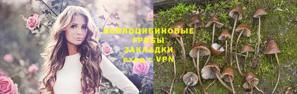spice Алзамай